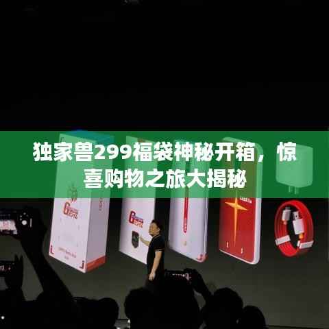 独家兽299福袋神秘开箱,惊喜购物之旅大揭秘