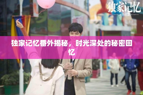 独家记忆番外揭秘，时光深处的秘密回忆