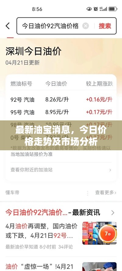 最新油宝消息,今日价格走势及市场分析