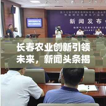 长春农业创新引领未来,新闻头条揭秘农业新动向与发展战略
