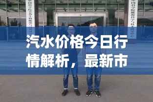 汽水价格今日行情解析,最新市场动态一网打尽!