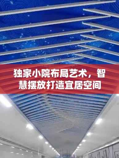 独家小院布局艺术，智慧摆放打造宜居空间
