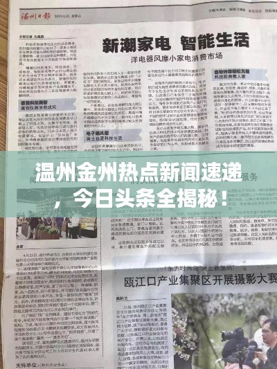 温州金州热点新闻速递,今日头条全揭秘!