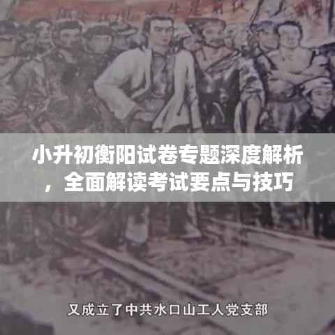 小升初衡阳试卷专题深度解析,全面解读考试要点与技巧