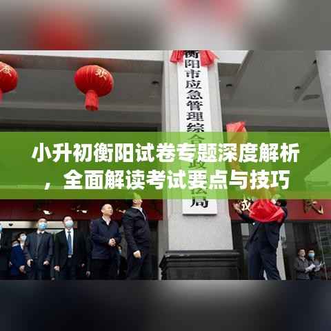 小升初衡阳试卷专题深度解析,全面解读考试要点与技巧