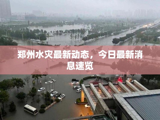 郑州水灾最新动态,今日最新消息速览