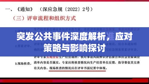 突发公共事件深度解析,应对策略与影响探讨