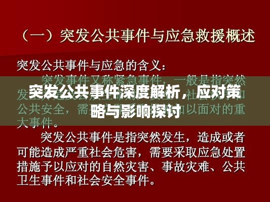 突发公共事件深度解析,应对策略与影响探讨