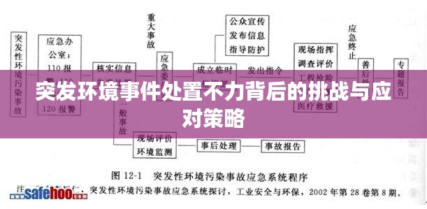 突发环境事件处置不力背后的挑战与应对策略