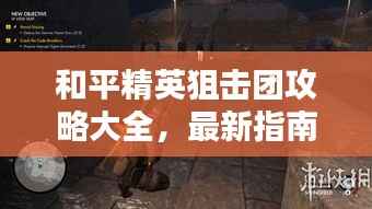 和平精英狙击团攻略大全,最新指南与技巧