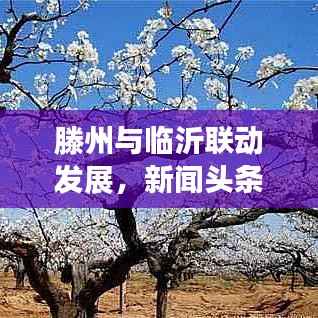 滕州与临沂联动发展,新闻头条下的区域合作新篇章