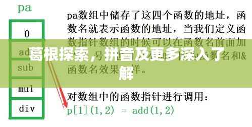葛根探索,拼音及更多深入了解